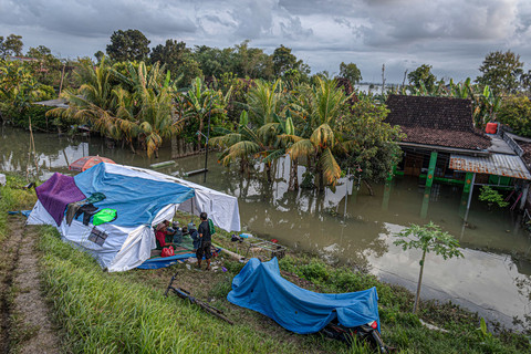 Warga yang rumahnya masih terendam banjir beristirahat di tenda pengungsian darurat di Dusun Mintreng, Desa Baturagung, Kecamatan Gubug, Kabupaten Grobogan, Jawa Tengah, Rabu (12/3). Foto: ANTARA FOTO/Aji Styawan