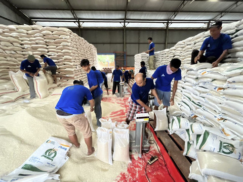 Stok beras di Gudang Bulog Pekandangan Kabupaten Indramayu (31/5/2024). Foto: kumparan