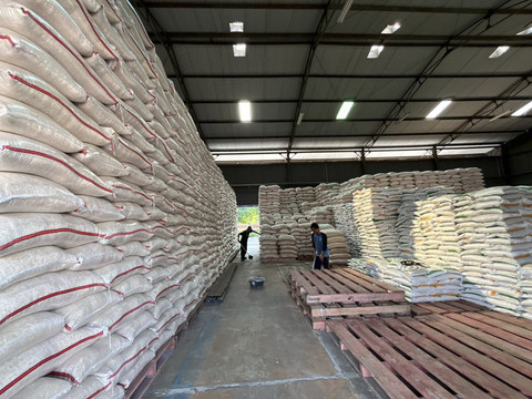 Stok beras di Gudang Bulog Pekandangan Kabupaten Indramayu (31/5/2024). Foto: kumparan