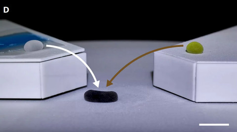 Robot cair mencoba melompat sebelum akhirnya bergabung dan menciptakan reaksi kimia. Foto: Science Advance