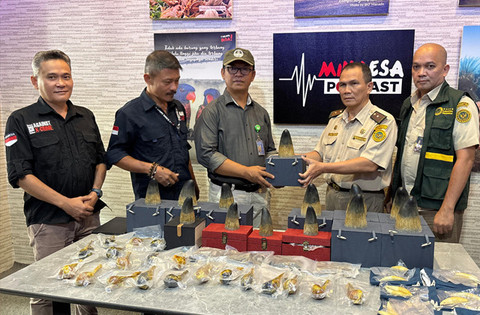 Penyerahan barang bukti berupa organ satwa liar yang diselundupkan dari China ke Sulawesi Utara. (foto: istimewa)