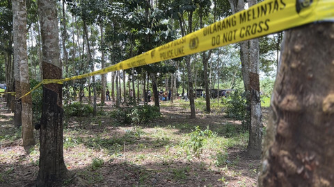 Tempat korban tertembak di lokasi sabung ayam Karang Manik, Way Kanan, Lampung. Foto: Hedi/kumparan