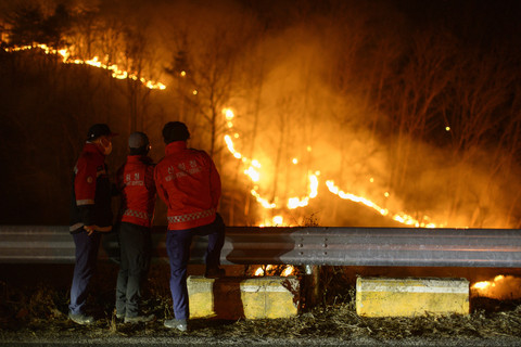 Personel Dinas Kehutanan Korea Selatan melihat kebakaran hutan di Andong, Korea Selatan, Kamis (27/3/2025). Foto: Anthony Wallace/AFP