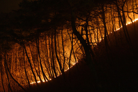 Asap mengepul dari kebakaran hutan di Andong, Korea Selatan, Kamis (27/3/2025). Foto: Anthony Wallace/AFP