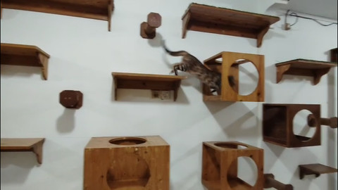 Fasilitas di pet care. dok kumparan