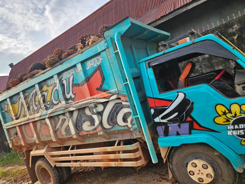 Kendaraan yang digunakan pelaku untuk mengangkut buah sawit curian. Foto: Dok. Polres Ketapang