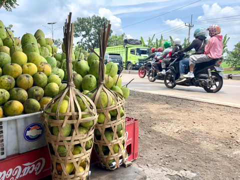 Di sepanjang Kabupaten Indramayu, yang dijuluki "Kota Mangga", pemudik disuguhi deretan mangga segar yang dijual sebagai oleh-oleh khas, Minggu (30/3/2025) dok kumparan.