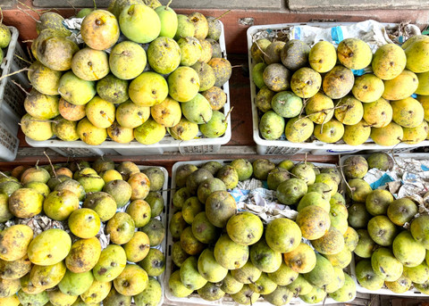 Di sepanjang Kabupaten Indramayu, yang dijuluki "Kota Mangga", pemudik disuguhi deretan mangga segar yang dijual sebagai oleh-oleh khas, Minggu (30/3/2025) dok kumparan.