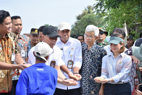 Direktur Pengadaan Bulog Prihasto Setyanto (ketiga dari kanan) bersama Ketua Dewan Pengawas Perum BULOG Sudaryono (keempat dari kiri) saat mengecek hasil panen beras petani. Foto: Dok. BULOG