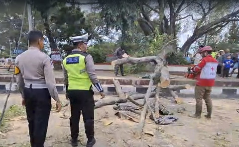 Pohon tumbang timpa jemaat Salat Idul Fitri di Pemalang. Foto: Dok. Polres Penalang 