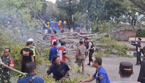 Petugas menangani pohon tumbang di Alun-alun Pemalang. Foto: Dok. Polres Pemalang