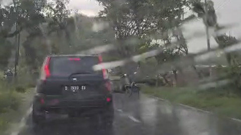 Pohon tumbang akibat hujan ekstrem di Jalan Socojogorogo, Ngawi, Jawa Timur, Senin (31/3/2025). Foto: Aditia Noviansyah/kumparan