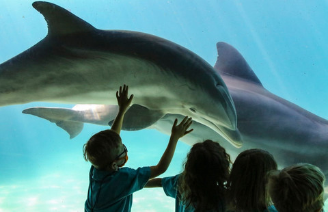 Ilustrasi Rekomendasi Tempat Wisata Edukasi Anak di Jakarta  Sumber Unsplash/Mick Haupt