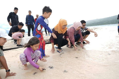 Khofifah saat melepas anak penyu atau tukik di Pulau Tabuhan. Foto: Humas Pemprov Jatim 