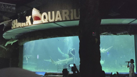 Ramainya pengunjung yang berwisata ke Seaworld, Ancol, Jakarta Utara, Sabtu (5/4/2025). Foto: Alya Zahra/kumparan 