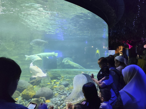 Ramainya pengunjung yang berwisata ke Sea World, Ancol, Jakarta Utara, Sabtu (5/4/2025). Foto: Alya Zahra/kumparan 