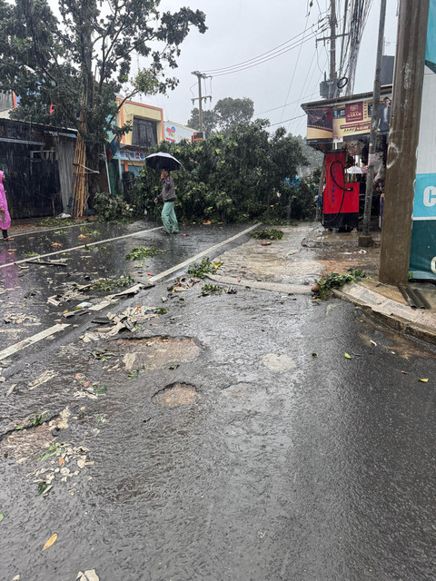 Pohon tumbang di Jalan Raya Pondok Rajeg, Cibinong, Minggu (6/4). Foto: kumparan