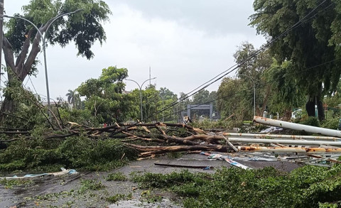 Pohon dan tiang di wilayah kantor Pemkab bogor tumbang akibat hujan deras dan angin kencang, Minggu (6/4/2025). Foto: Dok. Istimewa