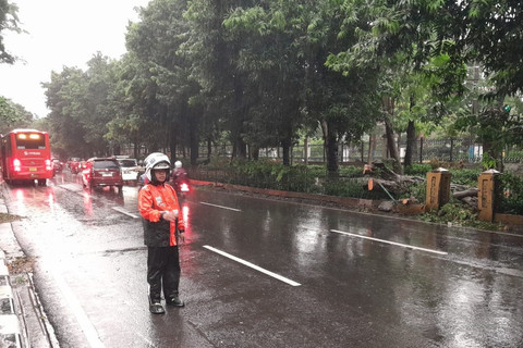 Kondisi lalu lintas usai pohon tumbang di Jalan Lenteng Agung, Jakarta Selatan, Minggu (6/4/2025). Foto: X/ @TMCPoldaMetro