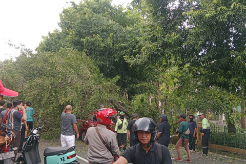 Pohon tumbang di Jalan Lenteng Agung, Jakarta Selatan, Minggu (6/4/2025). Foto: X/ @TMCPoldaMetro
