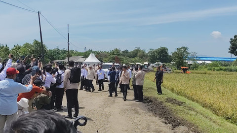 Presiden Prabowo Subianto hadiri acara panen raya di Kabupaten Majalengka, Jawa Barat, pada Senin (7/4/2025). Foto: Luthfi Humam/kumparan
