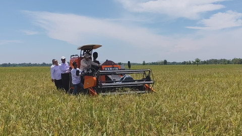 Presiden Prabowo Subianto mengendarai traktor untuk panen padi saat acara panen raya di Kabupaten Majalengka, Jawa Barat, pada Senin (7/4/2025). Foto: Luthfi Humam/kumparan