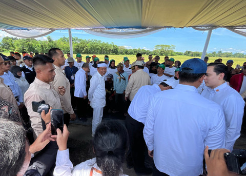 Dedi Mulyadi dampingi Presiden Prabowo pada acara panen raya di Kabupaten Majalengka, Jawa Barat, pada Senin (7/4/2025). Foto: Arfiansyah Panji Purnandaru/kumparan