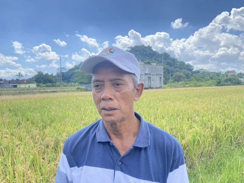Ketua Gapoktan Margodadi, Seyegan, Beni Sujendro. Foto: Resti Damayanti/Pandangan Jogja