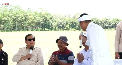 Presiden Prabowo (kiri) dan Gubernur Jawa Barat Dedi Mulyadi (kanan) pada panen raya di Kabupaten Majalengka pada Senin (7/4/2025). Foto: Dok. Bulog