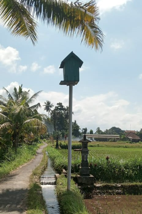 Rumah Burung Hantu di Bali. Foto: Kadistan Bali