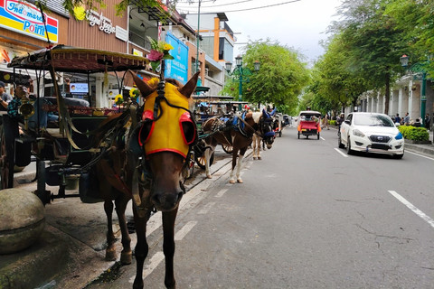 Kuda andong di kawasan Malioboro, Kota Yogyakarta, Kamis (10/4/2025). Foto: Arfiansyah Panji Purnandaru/kumparan