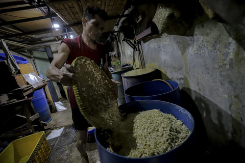 Pekerja menyelesaikan pembuatan tempe di Kampung Tempe, Kelurahan Sunter Jaya, Kecamatan Tanjung Priok, Jakarta Utara, Senin (14/4/2025). Foto: Jamal Ramadan/kumparan