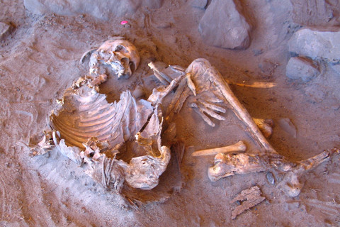 Mumi alamiah berusia 7.000 tahun dari seorang perempuan yang ditemukan di tempat perlindungan batu Takarkori di Libya barat daya terlihat dalam foto selebaran yang dirilis pada tanggal 2 April 2025. Foto: Universitas Sapienza Roma/via REUTERS