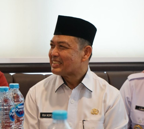 Gubernur Kalimantan Barat, Ria Norsan. Foto: Dok. Istimewa