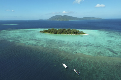 Cemara Kecil di Karimunjawa. Foto: Shutterstock