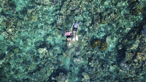  Ilustrasi snorkeling. Foto: Shutterstock