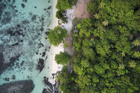 Spot snorkeling di Tanjung Gelam, Karimunjawa. Foto: Shutterstock