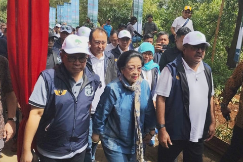 Dewan Pengarah BRIN sekaligus Ketua Umum PDI Perjuangan Megawati Soekarnoputri menghadiri penanaman mangrove bersama Ikatan Alumni SMAN 1 Jakarta (IKABOEDOET) di Kawasan Hutan Lindung Angke Kapuk, Jakarta Utara, Minggu (20/4/2025). Foto: Luthfi Humam/kumparan