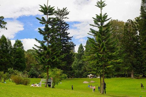 Kebun Raya Cibodas, Cianjur, Jawa Barat. Foto: Shutterstock