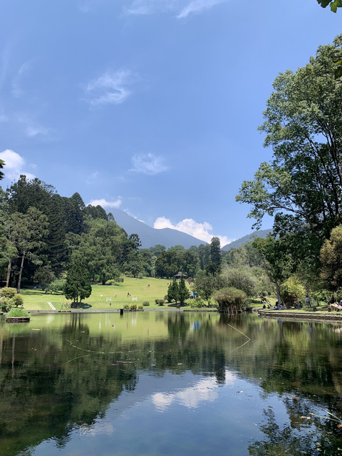 Kebun Raya Cibodas, Cianjur, Jawa Barat. Foto: Shutterstock