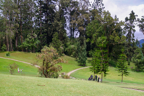 Kebun Raya Cibodas, Cianjur, Jawa Barat. Foto: Shutterstock