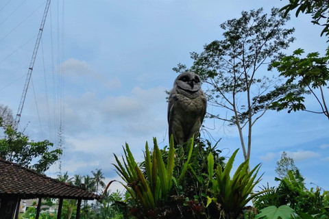 Kantor Pusat Studi dan Konservasi Burung Hantu di Dusun Cancangan, Kalurahan Wukirsari, Kapanewon Cangkringan, Kabupaten Sleman, Minggu (20/4/2025). Foto: Arfiansyah Panji Purnandaru/kumparan