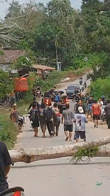 Warga mengevakuasi korban yang tertimpa pohon tumbang di Nanga Mahap Sekadau. Foto: Dok. Istimewa