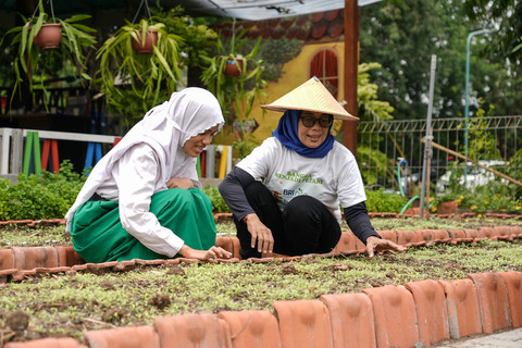 Program BRI Bertani di Kota (BRInita) dalam memberdayakan wanita sekaligus menghadirkan ekosistem urban farming berkelanjutan di daerah padat penduduk. Foto: Dok. BRI
