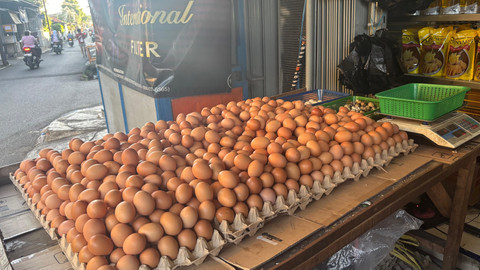 Agen telur di Swadaya I Tanjung Barat. Foto: Ave Airiza Gunanto/kumparan