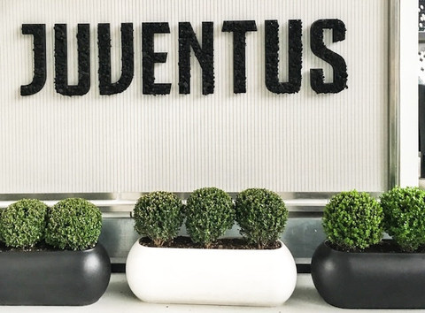 Ilustrasi jadwal Juventus 2025. Foto: Unsplash/Maria Bobrova