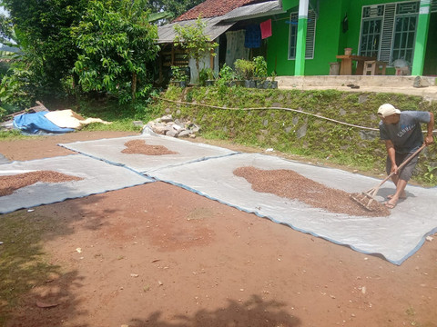 Salah satu petani Kopi di Kecamatan Kiarapedes, Purwakarta, Nurdin (35) saat ditemui di rumahnya. Foto: dok. kumparan. 