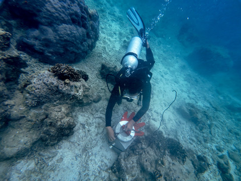 Program Konservasi Lingkungan yang dilakukan oleh Telkom dalam rangka memperingati Hari Bumi yang jatuh pada tanggal 22 April yang dilakukan serentak di empat titik lokasi di Indonesia. Foto: Dok. Telkom