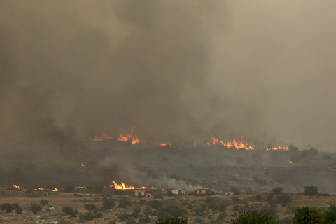 Api berkobar saat kebakaran hutan di kawasan Bet Shemesh, Israel, Kamis (30/4/2025). Foto: Ahmad Gharabli/AFP