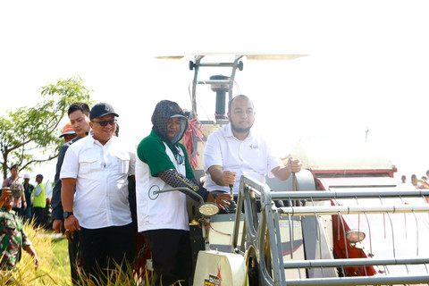 Bulog dan Pupuk Indonesia saat panen raya gabah petani di Desa Sumberejo, Kecamatan Ambulu, Kabupaten Jember seharga Rp 6.500 per kg. Foto: Dok. Istimewa
